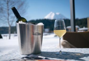 Forellenhof Appartements & Grossmutters Bungalow has Balcony rooms