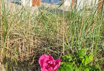 Taubennest has Balcony rooms