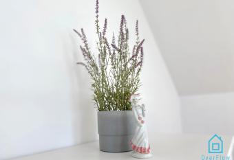 Loft Apartment - Ca  oroczny apartament nad jeziorem Kamie   has rooms with a private hot tub