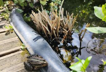 Ferme semi-troglodytique 18e si  cle has Balcony rooms