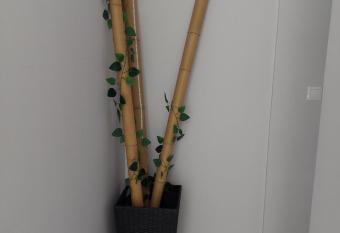 Memory Home allows 18 year olds to book a room