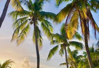 VC Beachsuites has Balcony rooms