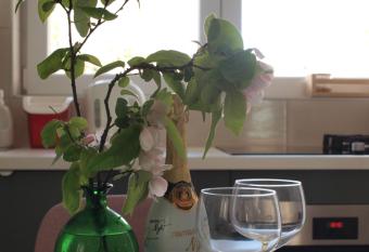 Apartmani Luce has Balcony rooms