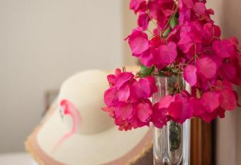 Almira Inn has Balcony rooms