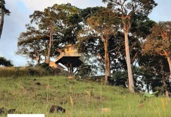 CAMP TREEHOUSE     COTTAGE     POOL     JACUZZI has Balcony rooms