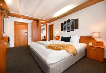 THE HEART OF THE FOREST - Cozy Room in Predeal allows 18 year olds to book a room