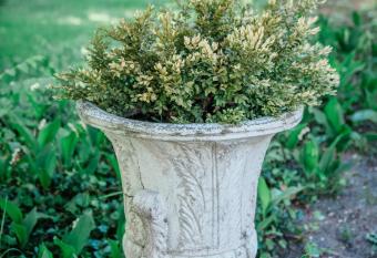 Bridgewalk Estate a Wanderlust Abodes property allows 18 year olds to book a room