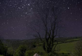 Herons Retreat has Balcony rooms