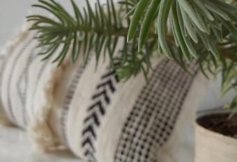 Habitaci  n Privada en Hostal Sayunique allows 18 year olds to book a room