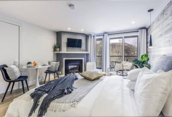 Studio LIV203 by Gestion ELITE allows 18 year olds to book a room