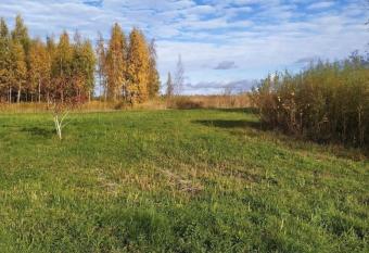 Upesl    i.Papes ezera son  te has Balcony rooms