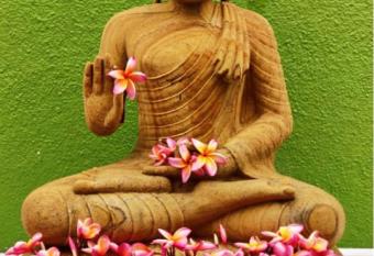 5BHK Supremo Villa has Balcony rooms