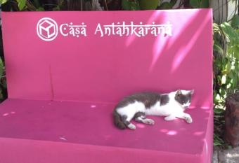 Casa Antahkarana allows 18 year olds to book a room