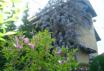Apartman Wisteria has Balcony rooms