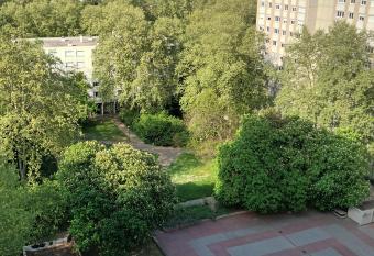 T  te d Or Forest allows 18 year olds to book a room