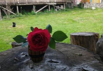 Borlova /Muntele Mic has Balcony rooms