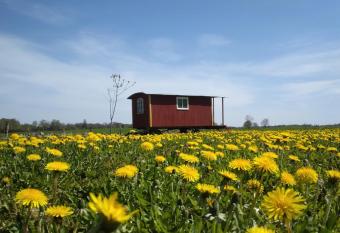 Gula Vagnen allows 18 year olds to book a room