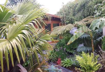 cabin set in a beautiful romantic tropical garden allows 18 year olds to book a room