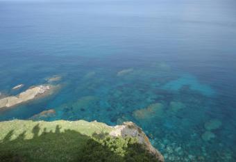 Lalu s B&B has Balcony rooms