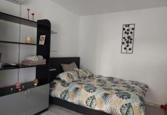 Garsoniera Petrosani has Balcony rooms