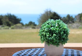 Cozy Getaway with Ocean View and Private Entrance! has Balcony rooms