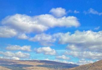 Alma Apartment allows 18 year olds to book a room