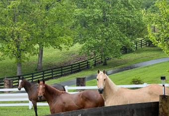 Nicura Ranch Inn & Stables has Balcony rooms
