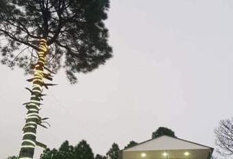 The Plum allows 18 year olds to book a room