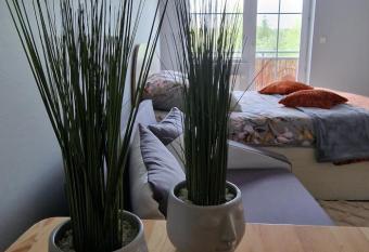 Apartamenty Hexagon nr 25 has Balcony rooms