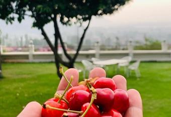 Exottica the resort allows 18 year olds to book a room