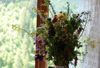 Elisabeth s Guest House has Balcony rooms