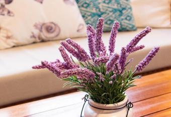 MAGICAL HOUSE In Front OF A SUNRISE BEACH has Balcony rooms