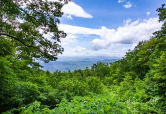 The Vision Mtn View Hot Tub Wood Fireplace has Balcony rooms