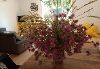 Villa perpignanaise has Balcony rooms