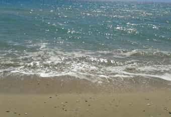 Mouses-X allows 18 year olds to book a room