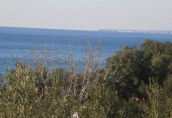 Katie s Little House has Balcony rooms