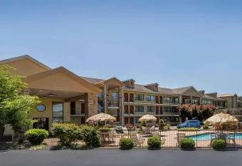 Bear Hugs - 5 Bedrooms, 5,5 Baths, Sleeps 20 cabin has rooms with a private hot tub