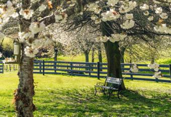 Lupin Lodge Bed & Breakfast has Balcony rooms