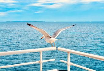 Bel appartement avec vue mer has Balcony rooms