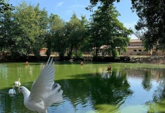 G  te    la ferme Chant alouette allows 18 year olds to book a room