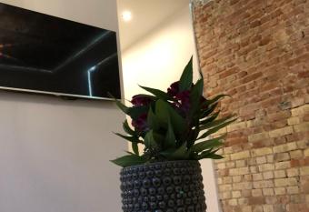 Old Town Deluxe Apartment allows 18 year olds to book a room