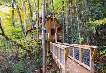 The Cedar in Treehouse Grove at Norton Creek allows 18 year olds to book a room