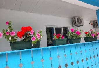 Casa Dobrogea allows 18 year olds to book a room