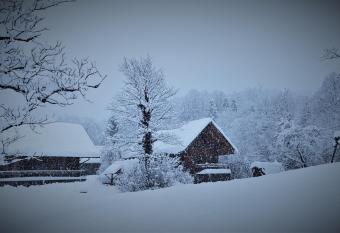 Brunarica Biopark -Log house Biopark has Balcony rooms