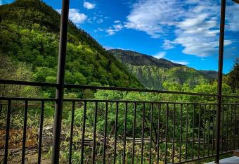White House In Borjomi has Balcony rooms