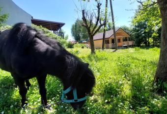 Agroturystyka stajnia pod brzozami has rooms with a private hot tub