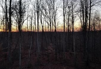 Delet e this property has Balcony rooms