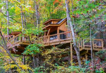 The Dogwood in Treehouse Grove at Norton Creek has Balcony rooms