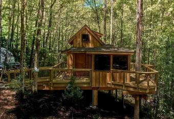 The Maple in Treehouse Grove at Norton Creek has Balcony rooms