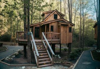 The Poplar in Treehouse Grove at Norton Creek has Balcony rooms